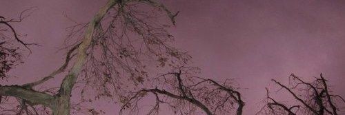 is1xor4's profile banner image
