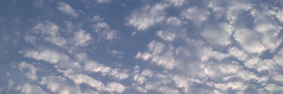 cucogarasa's profile banner image