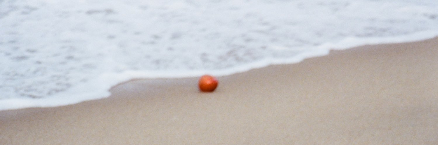 🎇 banner