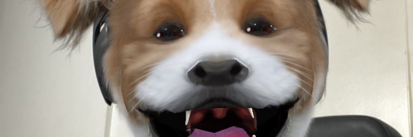 pedrodoroque's profile banner image