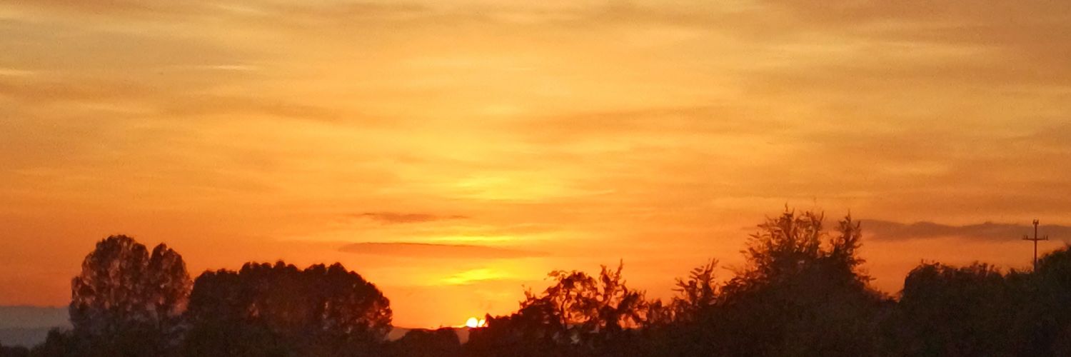 _taamara__'s profile banner image