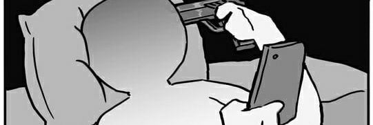 Gringo banner