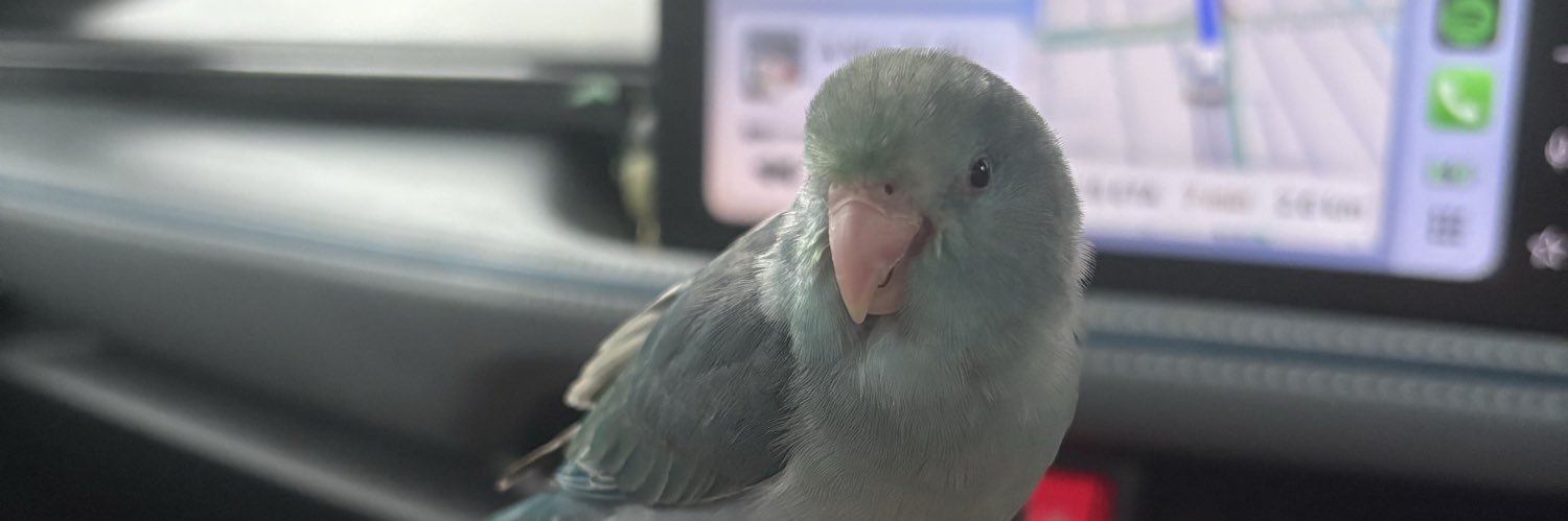 tinythsone's profile banner image