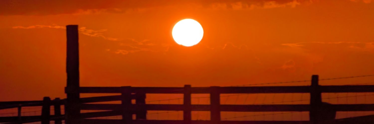 bmogs88's profile banner image