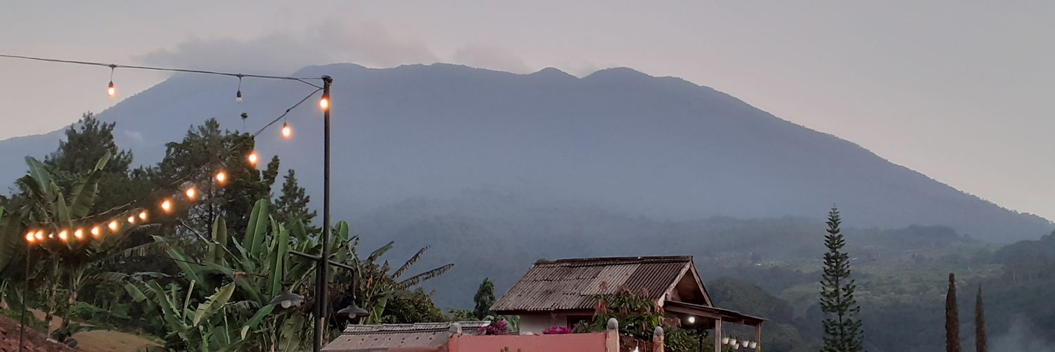 Sialeksih banner
