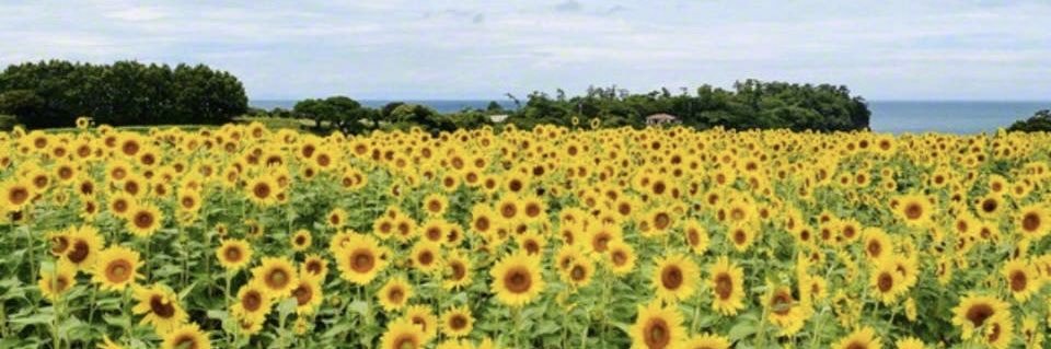 k_kerocco's profile banner image
