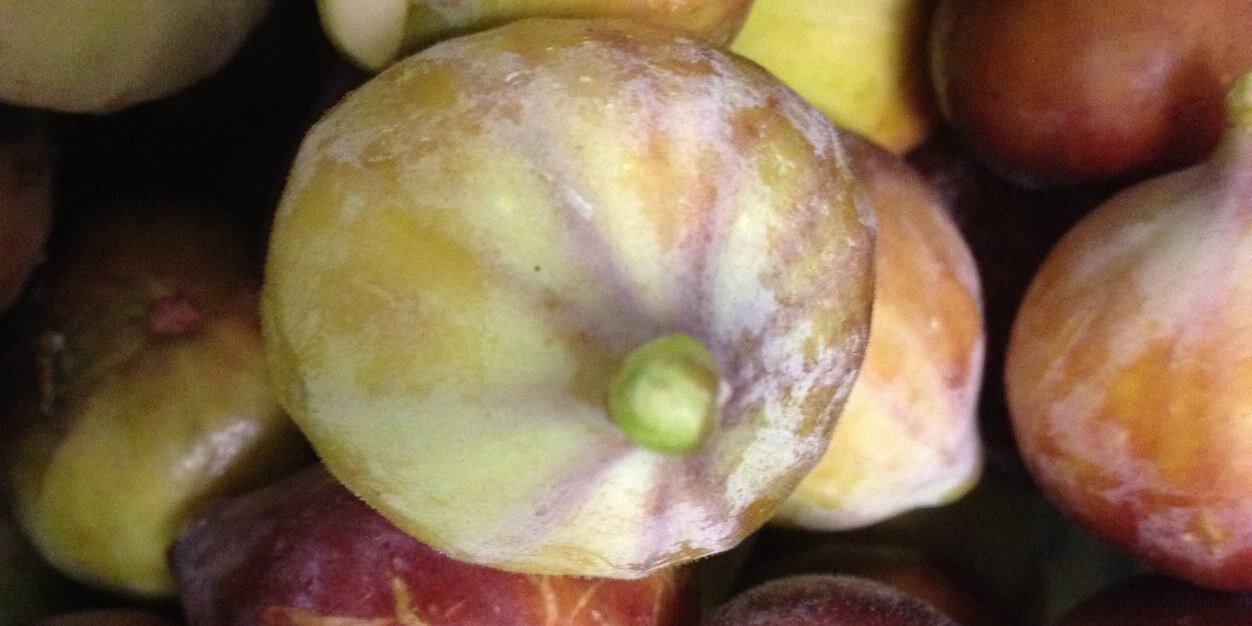 Daniel Causgrove banner