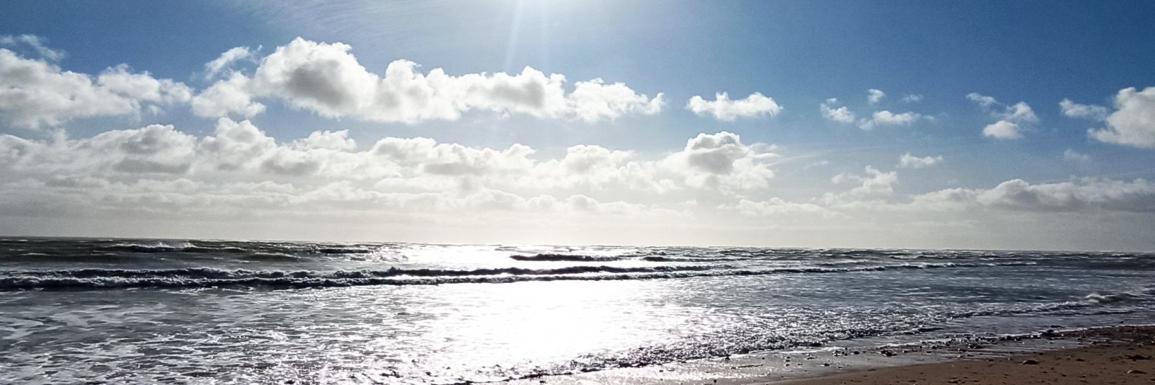 Franckyrocky Silvercougar 🇨🇵 banner