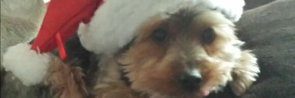 Else Tetzlaff banner