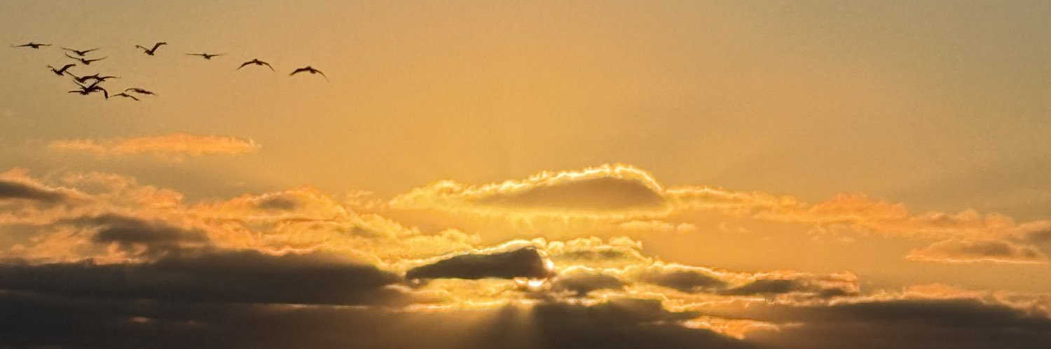elmorritoDom's profile banner image