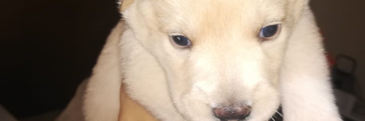 GerardLlort's profile banner image