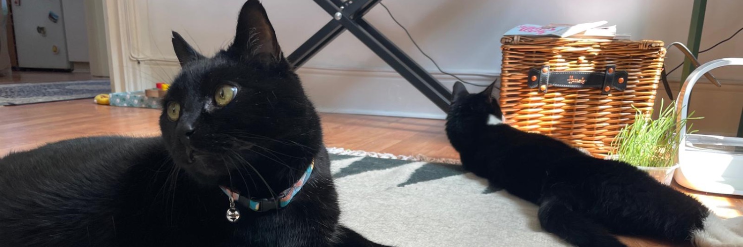 BushCatMarley's profile banner image