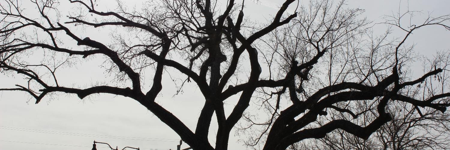 ☕ Kendall ☕ banner