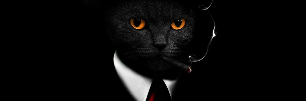 Mohamed Kamil banner