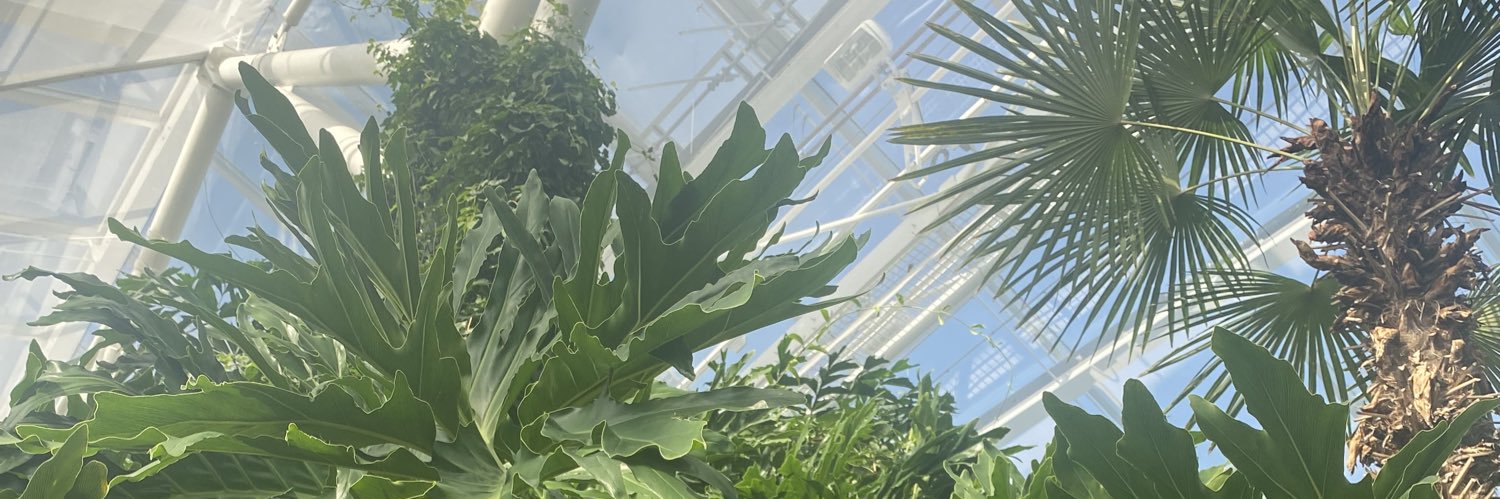 KiingLexi's profile banner image