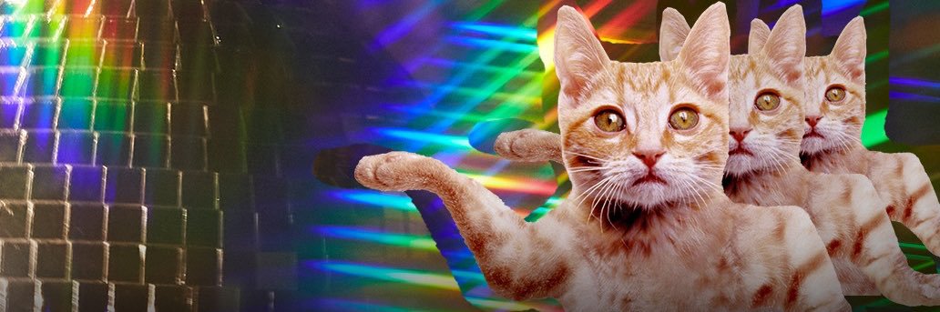 arodgzz's profile banner image