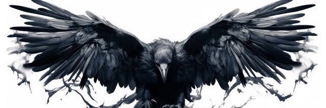 W A E L 🐦‍⬛ banner