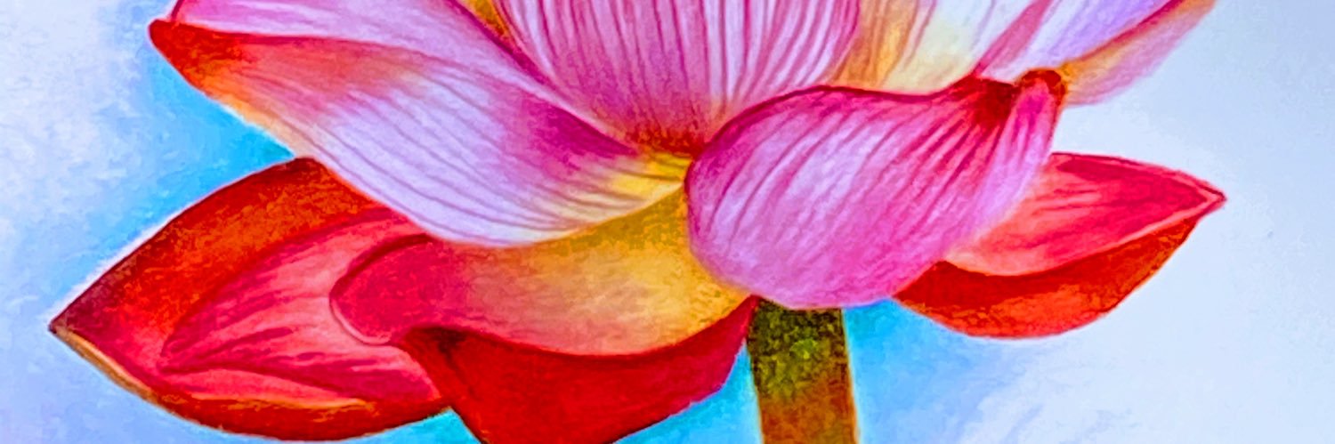Sheri Limb banner