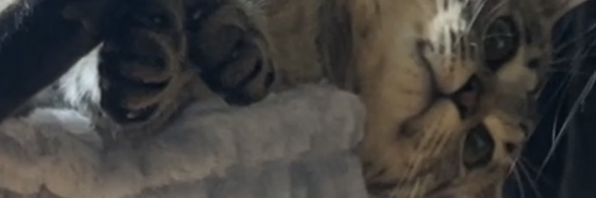 tm_877's profile banner image