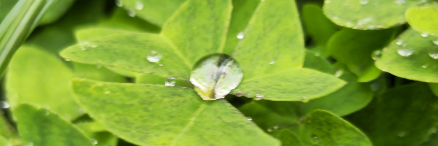 AtomicFeetAgain's profile banner image