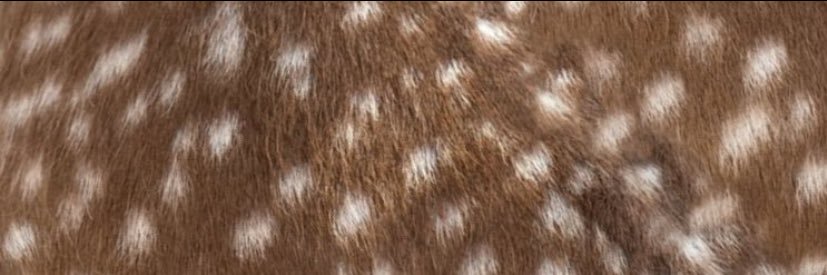 mioravia's profile banner image