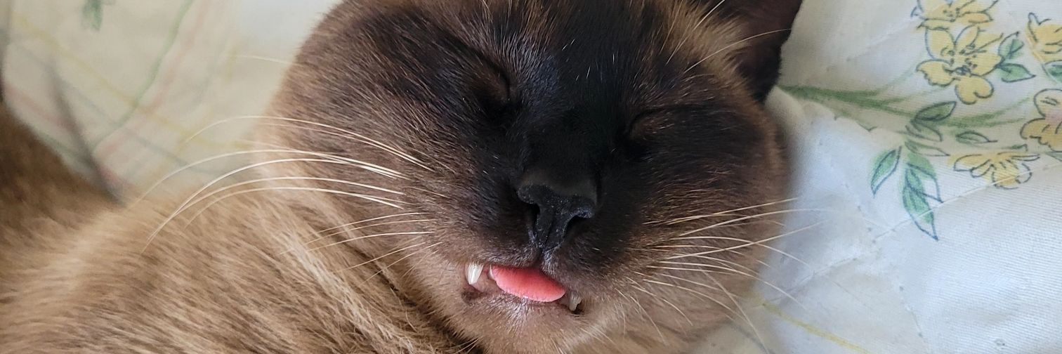 Thipo151's profile banner image