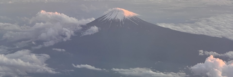 tsuitwi's profile banner image