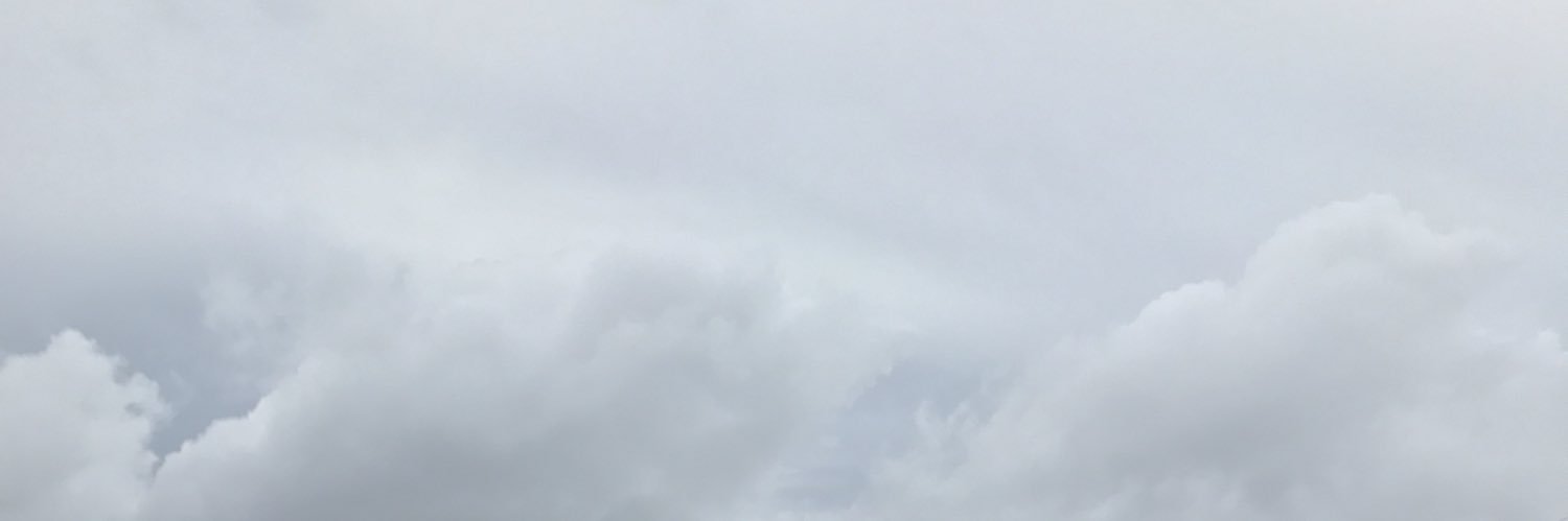 たにきくん banner