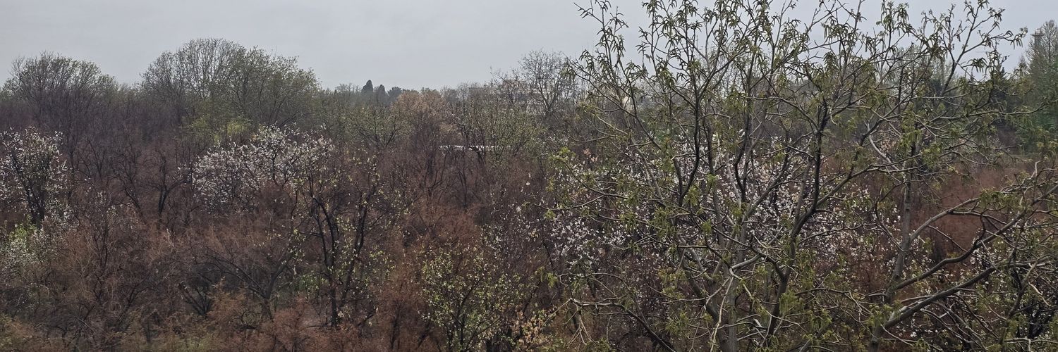 جوگندمی banner