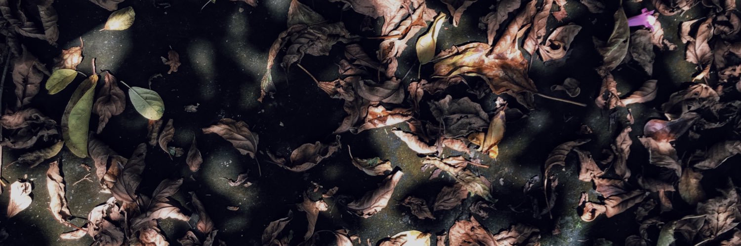 Fotocolectora's profile banner image