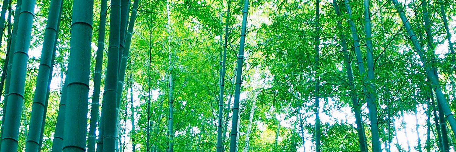 jj6363's profile banner image