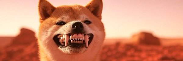 Carnegie_Steele Profile Banner