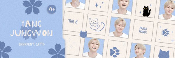 user_catto Profile Banner