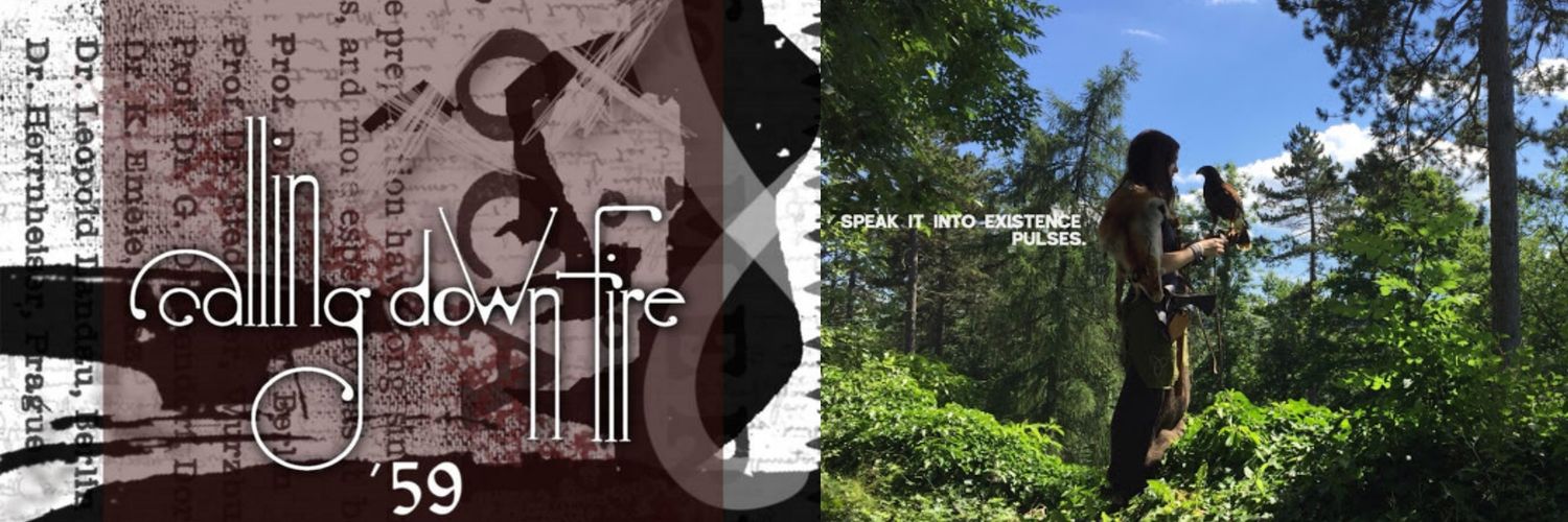 TheBtmFdr's profile banner image