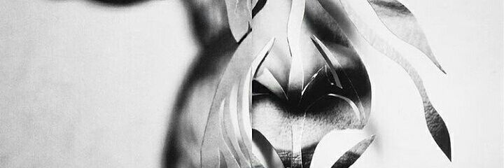 TheRadioTrident's profile banner image