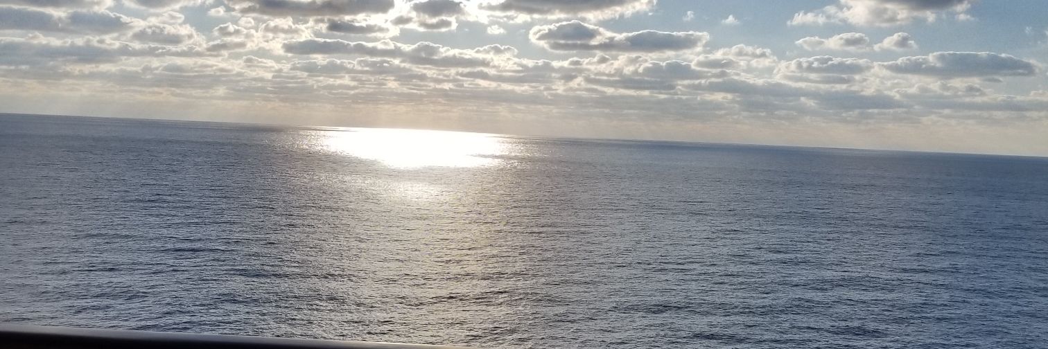 AngelaW1206's profile banner image