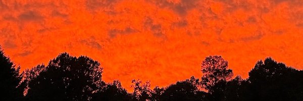 Scuddy2x Profile Banner