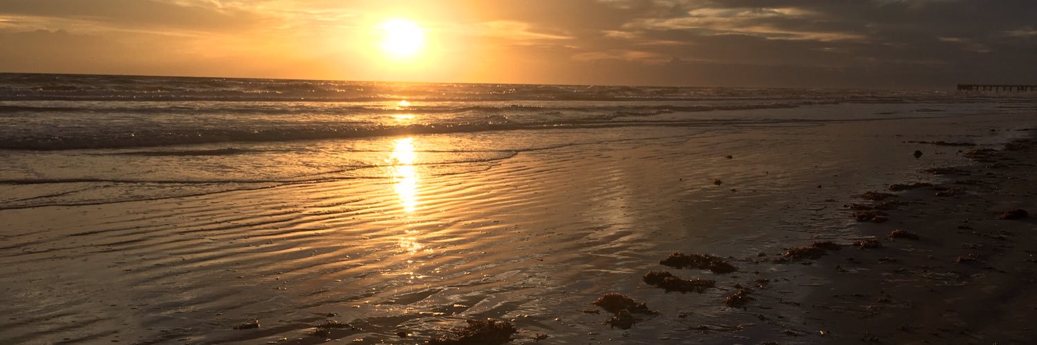 Kelly A. Andrews Ed. D. banner