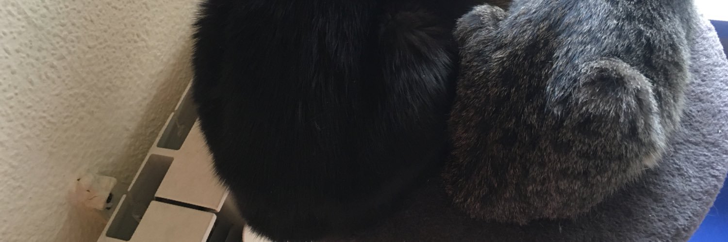 luci_naf's profile banner image