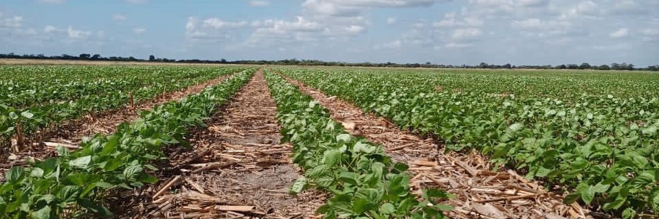 agilbertoagro's profile banner image
