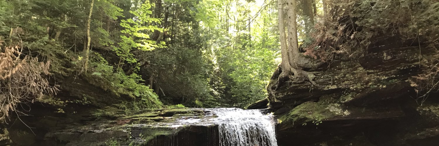 Jeremy Fischer banner