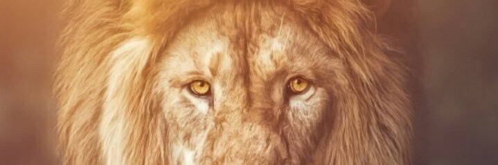 BRlDGE's profile banner image