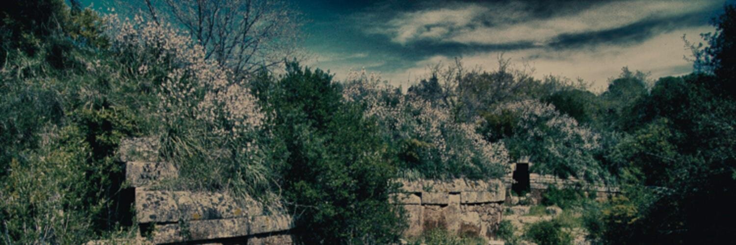 aroundmedia's profile banner image