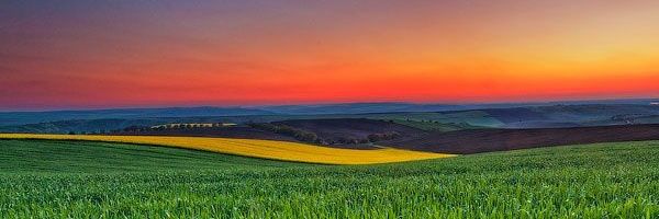 mayanktyagi293's profile banner image