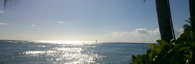 IngridPinLa's profile banner image