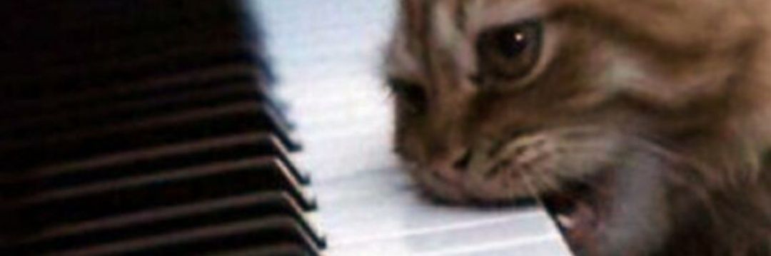 world kitty (4) all 🎶💙🎶's banner