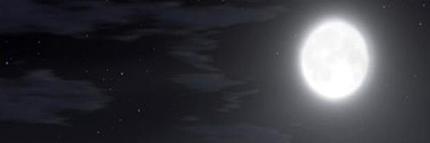xberlin banner