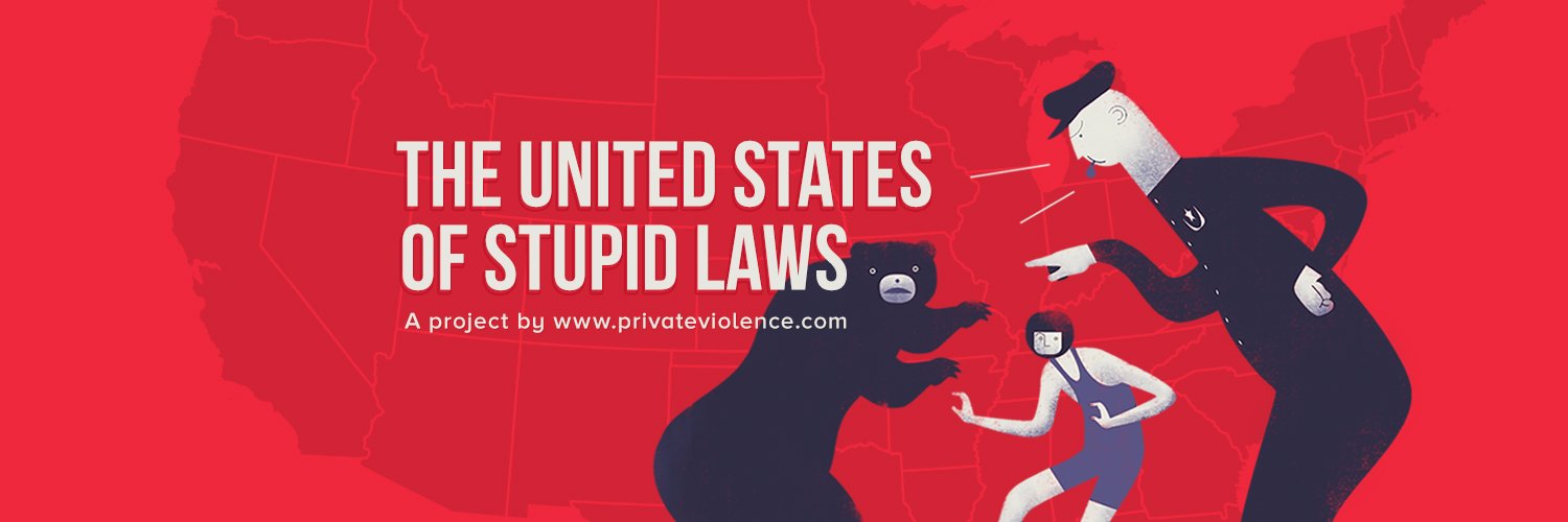 PrivateViolenceDoc banner