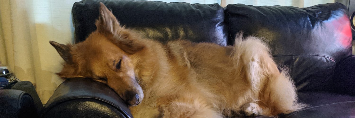 Badmungo's profile banner image