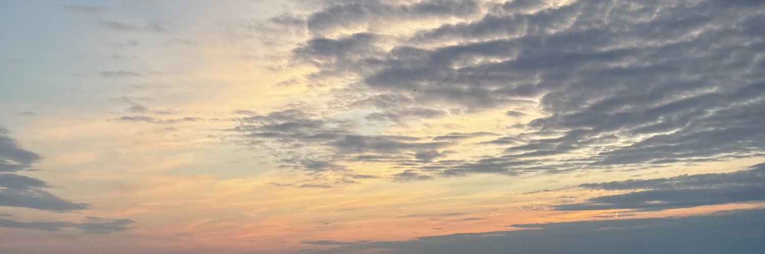 nickiebala's profile banner image